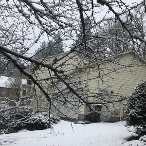 Meet your Posher, Josie